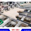 Sản phẩm máy cưa lọng mũi CNC SM-DR1 | SEMAC