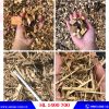 SẢN PHẨM CỦA MÁY BĂM DĂM GỖ 20 ĐẾN 25 TẤN 1 GIỜ - HL 1400 700